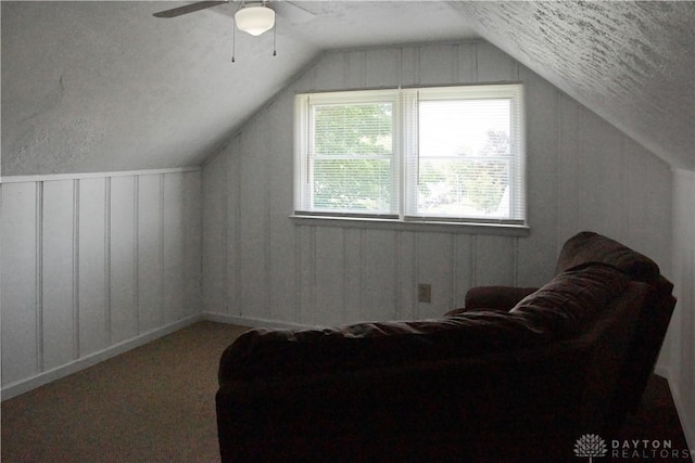 400 S Hayden Ave, Riverside, OH 45431 - additional living space featuring lofted ceiling, carpet flooring, a ceiling fan, a decorative wall, and a textured ceiling