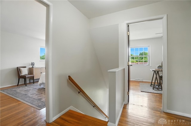 1023 Hilliard Dr, Delhi Twp, OH 45238 - hallway featuring an upstairs landing and wood finished floors