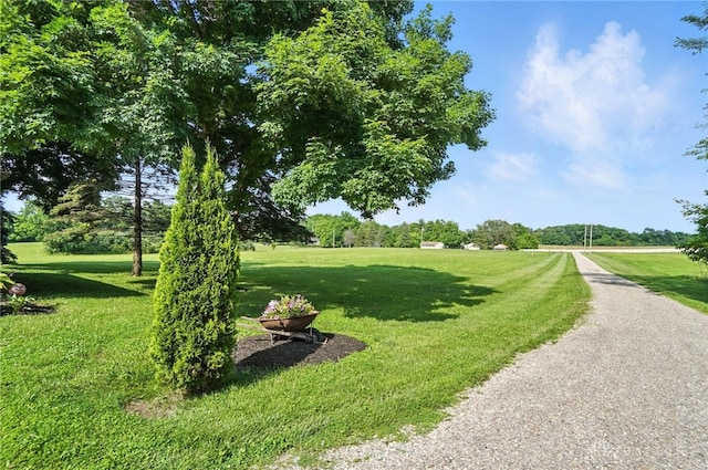 8425 Dillman Rd, Camden, OH 45311 - view of home's community featuring a lawn