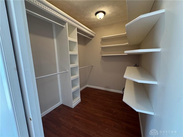523 Newport Rd, Xenia, OH 45385 - spacious closet with dark wood finished floors
