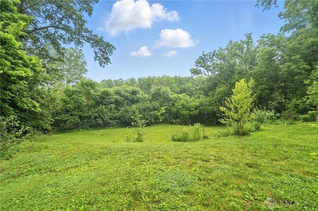 945 Oakland Dr, Beavercreek Twp, OH 45434 - view of yard with a view of trees