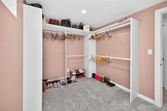 2858 Willow Ridge Dr, Colerain Twp, OH 45251 - spacious closet with carpet floors