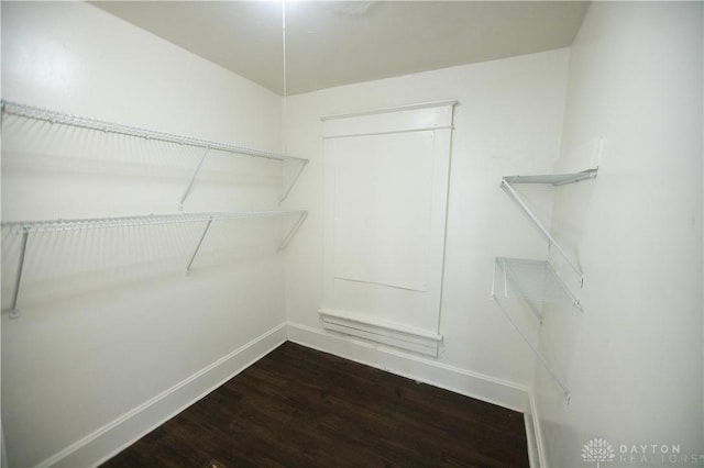2107 Woodlawn Ave, Middletown, OH 45044 - walk in closet with dark wood-style floors
