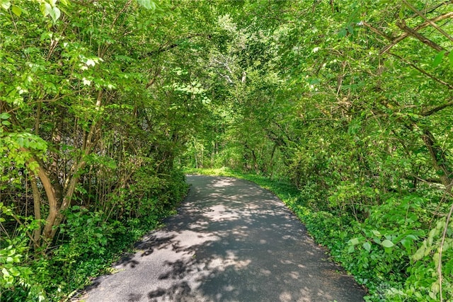 1839 Quail Hollow Rd, Washington Twp, OH 45459 - view of road with a view of trees