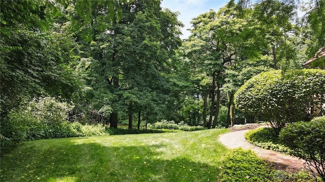 1160 Lytle Ln, Kettering, OH 45409 - view of green lawn featuring a wooded view