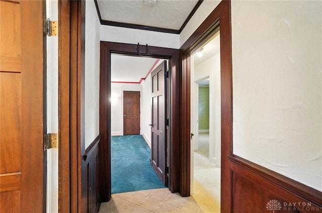 1160 Lytle Ln, Kettering, OH 45409 - corridor with ornamental molding, light carpet, and wainscoting