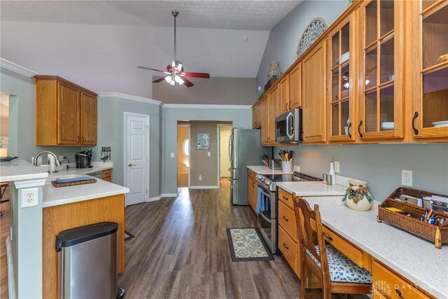 1210 Greystone Cir, Dayton, OH 45414 - kitchen featuring appliances with stainless steel finishes, ceiling fan, dark wood-type flooring, brown cabinetry, and high vaulted ceiling