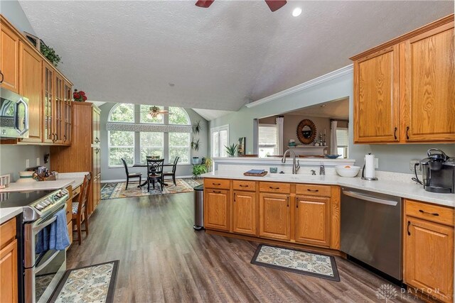 1210 Greystone Cir, Dayton, OH 45414 - kitchen with stainless steel appliances, a ceiling fan, dark wood-style flooring, vaulted ceiling, and light countertops