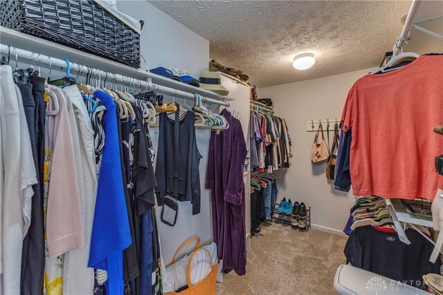 1210 Greystone Cir, Dayton, OH 45414 - walk in closet featuring carpet