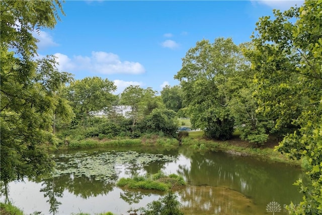 8760 State Route 380, Chester Twp, OH 45177 - water view