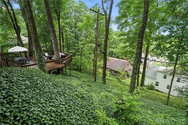 1314 Red Bud Trl, Dayton, OH 45409 - view of yard with a deck