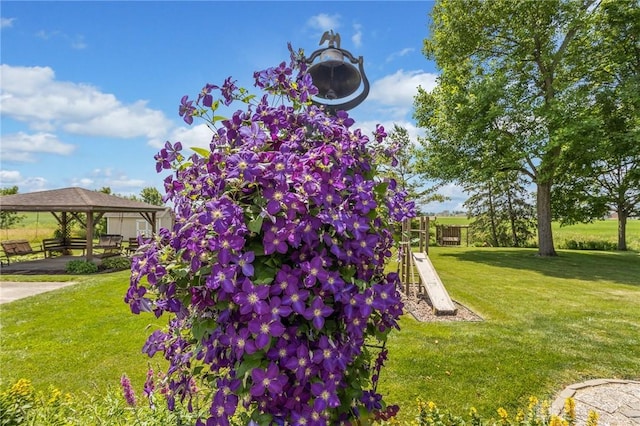 6977 Alternate State Route 49, Arcanum, OH 45304 - view of grassy yard with a gazebo