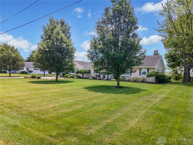 6977 Alternate State Route 49, Arcanum, OH 45304 - view of green lawn