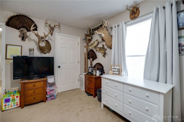 6426 Anvil Dr, Waynesville, OH 45068 - bedroom with light colored carpet