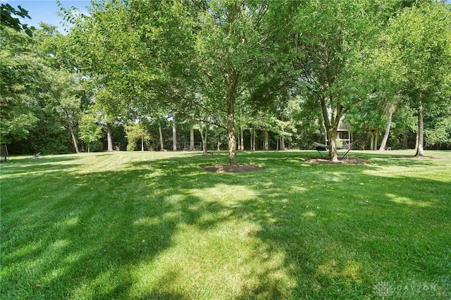 7921 Locust Grove Ct, Springboro, OH 45066 - view of green lawn