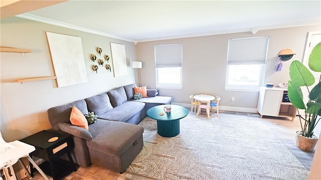 660 N Main St, Union, OH 45322 - living room with crown molding and wood finished floors
