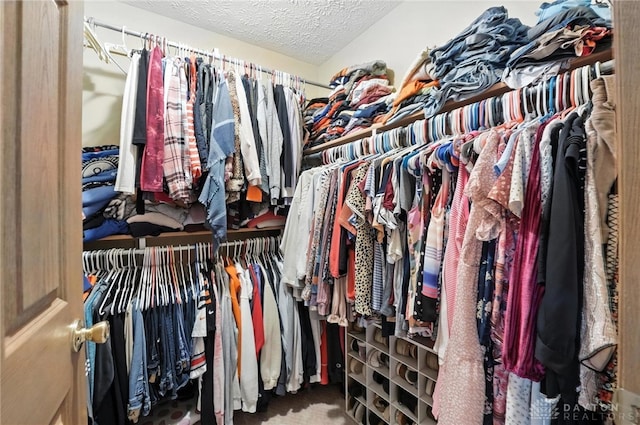 450 Overfield Pl, Troy, OH 45373 - spacious closet featuring carpet