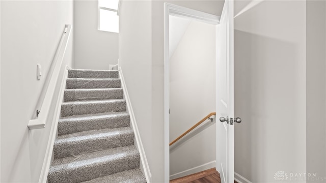 7944 Parsley Pl, Clayton, OH 45315 - photo 19