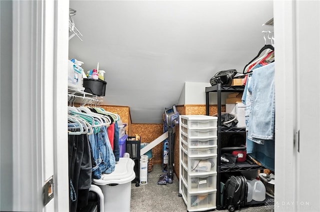 3166 Green Turtle Dr, Butler Twp, OH 45414 - view of spacious closet