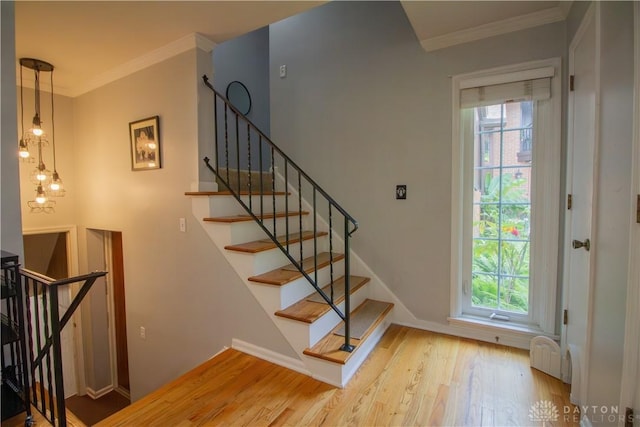 101 Blue Gate Cir Unit 1, Dayton, OH 45429 - staircase with wood finished floors, healthy amount of natural light, and crown molding