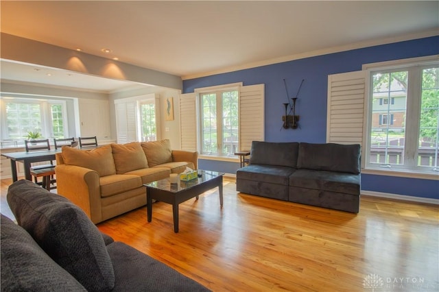 101 Blue Gate Cir Unit 1, Dayton, OH 45429 - living area featuring healthy amount of natural light, light wood-type flooring, and ornamental molding