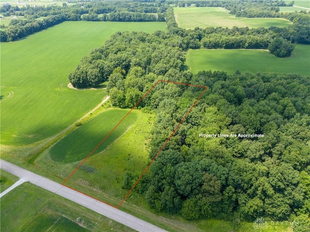 420 Kensington Dr, Clarksville, OH 45113 - photo 7