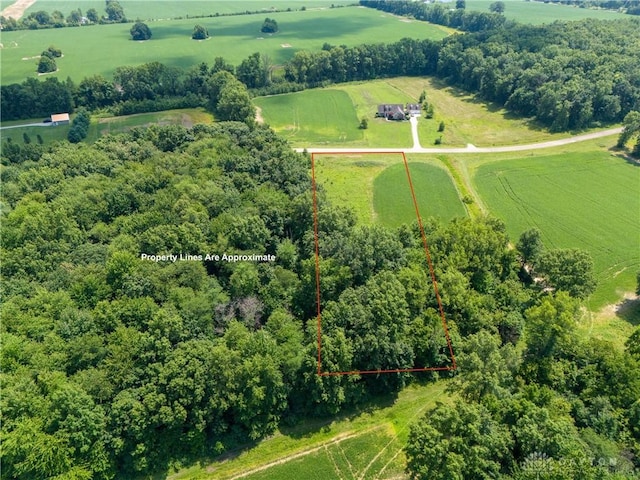 420 Kensington Dr, Clarksville, OH 45113 - photo 11