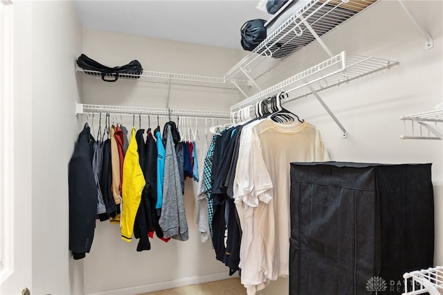 2396 Vienna Pkwy, Dayton, OH 45459 - view of spacious closet