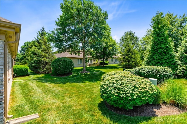 2396 Vienna Pkwy, Dayton, OH 45459 - view of grassy yard