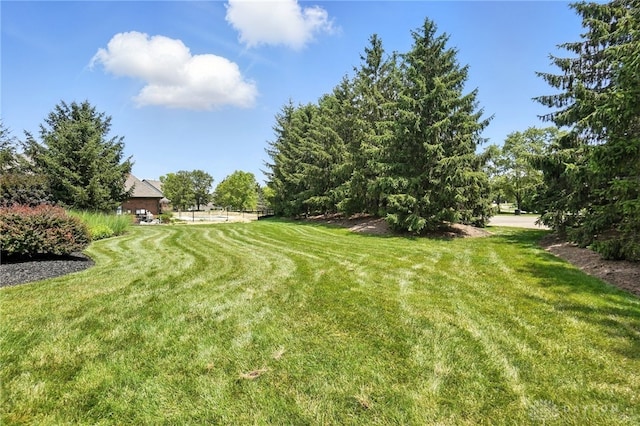10598 Falls Creek Ln, Washington Twp, OH 45458 - view of green lawn