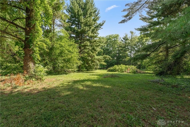 4648 Frederick Pike, Dayton, OH 45414 - photo 6