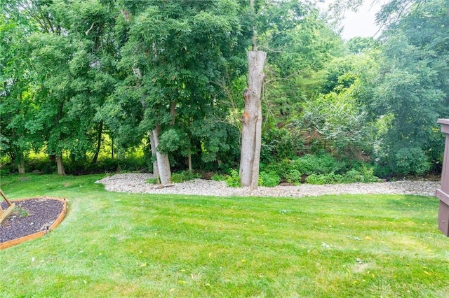 2540 Early Spring Ct, Dayton, OH 45459 - view of grassy yard