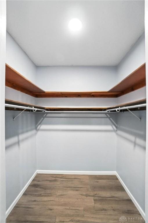 8052 Timberlodge Trl, Washington Twp, OH 45458 - spacious closet with dark wood-type flooring