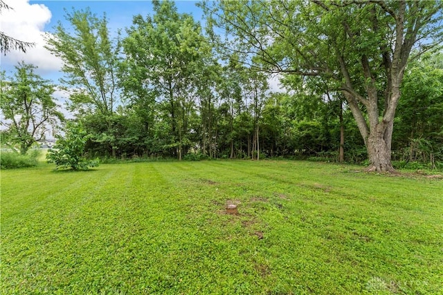 1209 Maple St, Troy, OH 45373 - view of grassy yard