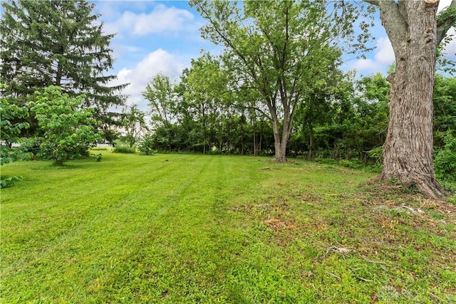 1209 Maple St, Troy, OH 45373 - view of green lawn