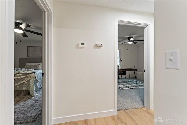 1209 Maple St, Troy, OH 45373 - hall featuring light wood-style flooring and baseboards