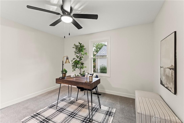 1209 Maple St, Troy, OH 45373 - home office with carpet floors and a ceiling fan
