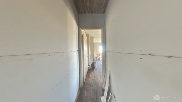 16 E Hudson Ave Unit 14, Dayton, OH 45405 - hallway with wood finished floors