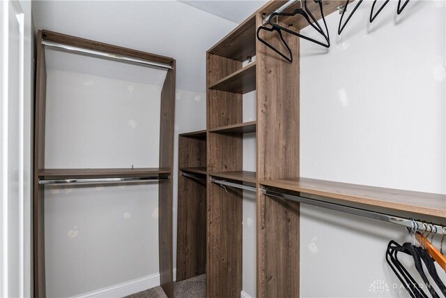 1129 Eureka Dr, Kettering, OH 45419 - view of walk in closet