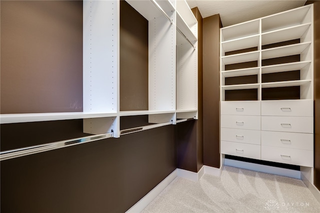 1461 Abbey Park Pl, Beavercreek Twp, OH 45385 - spacious closet with carpet