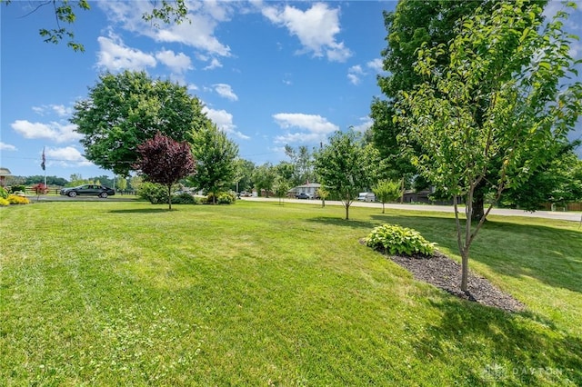 4213 Carthel Dr, Liberty Twp, OH 45011 - photo 24