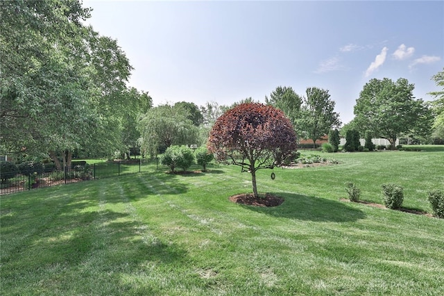 595 Heatherwoode Cir, Springboro, OH 45066 - view of yard