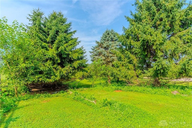 1061 Mcpherson Rd, Xenia, OH 45385 - view of yard
