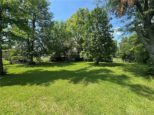 2886 Kemp Rd, Beavercreek, OH 45431 - view of green lawn