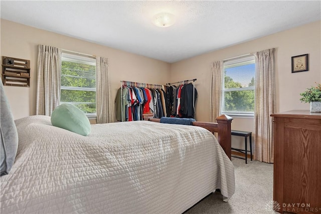 222 Alumni Cir, Wilmington, OH 45177 - carpeted bedroom with multiple windows