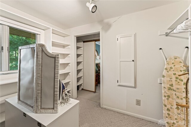 347 Winding Trl, Xenia, OH 45385 - walk in closet with carpet flooring