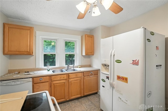 209 Clover St, Fairborn, OH 45324 - photo 9