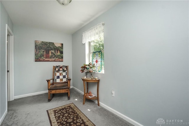 1027 Lorelei Dr, Fayetteville, OH 45118 - photo 32