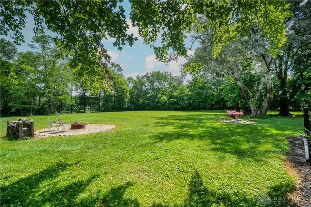 1027 Lorelei Dr, Fayetteville, OH 45118 - photo 54