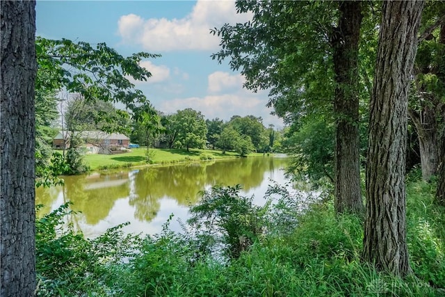 1027 Lorelei Dr, Fayetteville, OH 45118 - photo 58